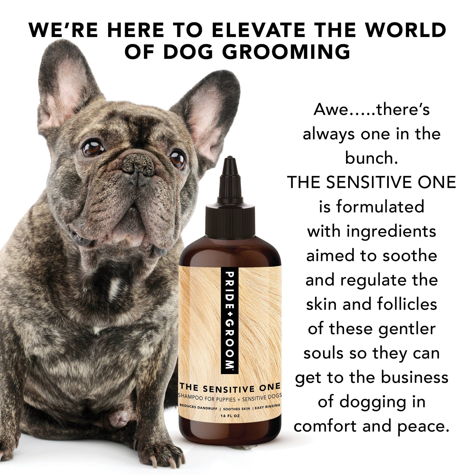 PRIDE+GROOM - THE SENSITIVE ONE | SHAMPOO FOR SENSITIVE COATS + PUPPIES: Medium