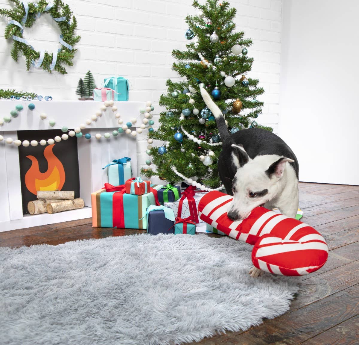 Pet Palette Distribution - BARK Grandy Cane Christmas Plush Dog Toy