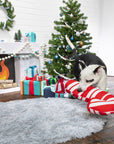Pet Palette Distribution - BARK Grandy Cane Christmas Plush Dog Toy