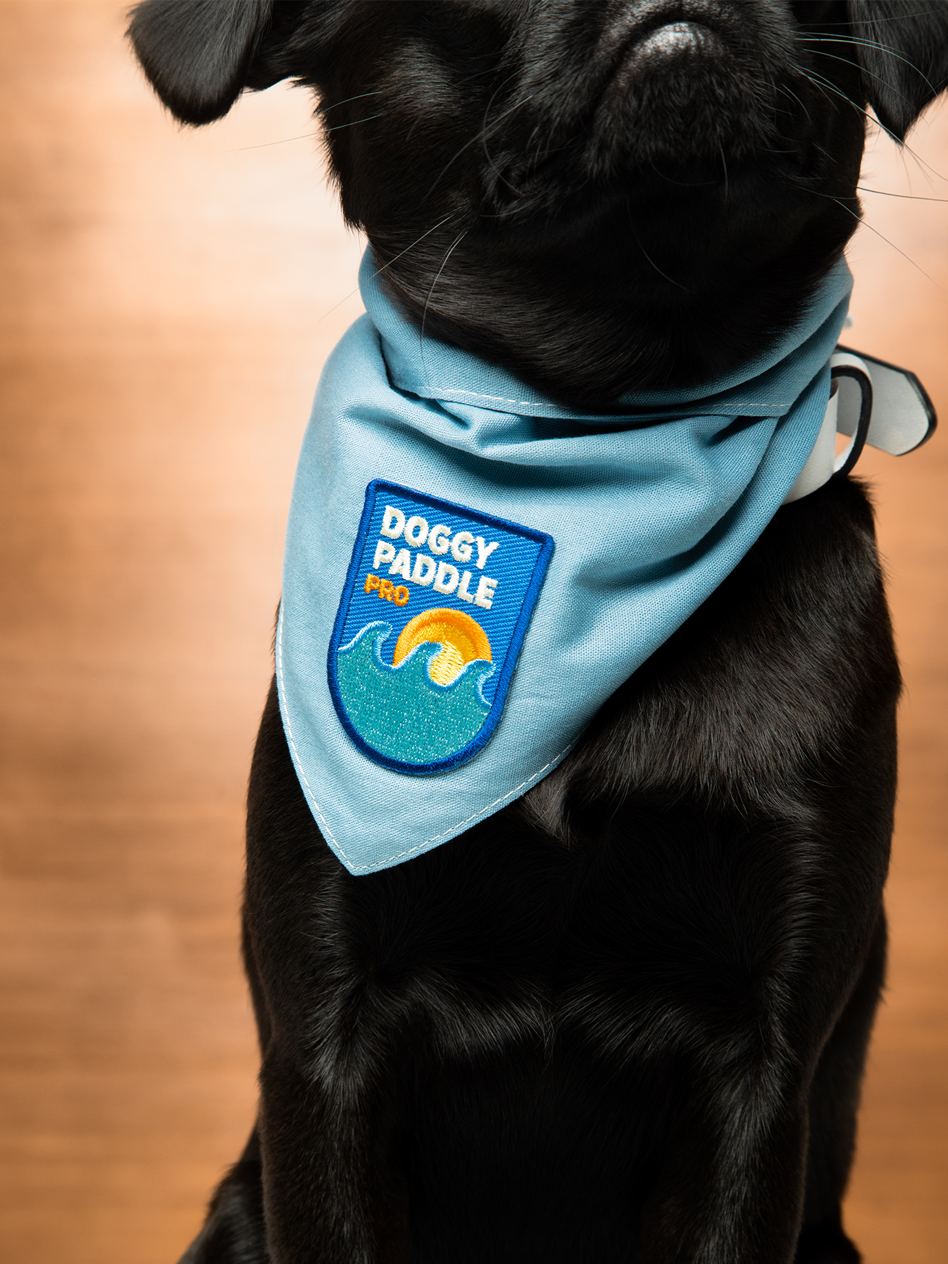 Scout's Honour Pty Ltd - Doggy Paddle Pro iron-on patch for dogs