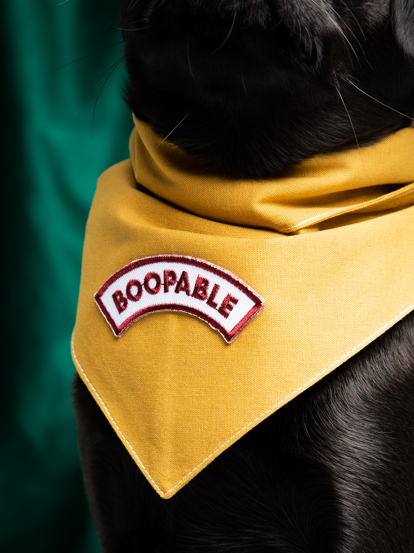 Scout's Honour Pty Ltd - Boopable iron-on patch for dogs