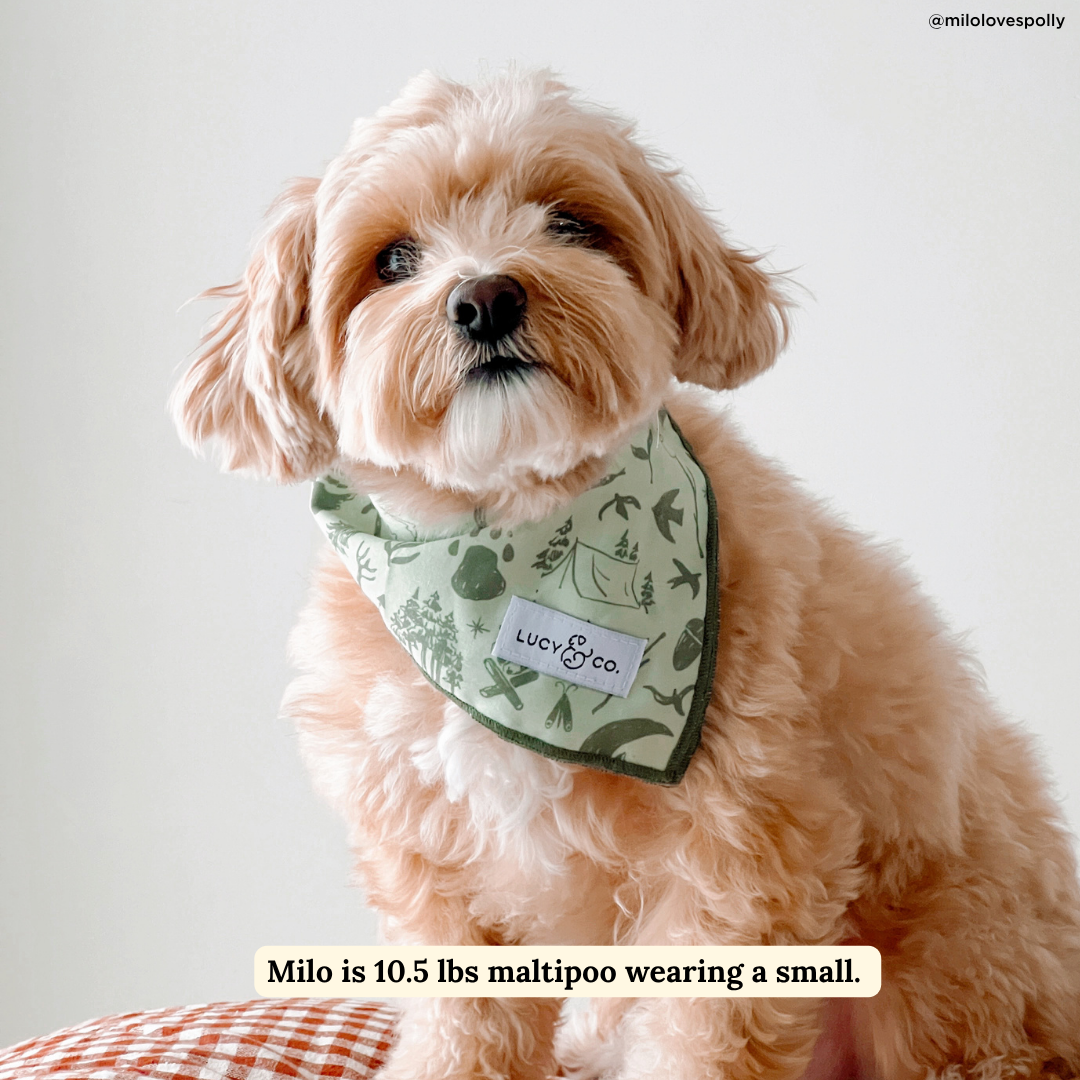 Lucy &amp; Co. - Camp Out Bandana: L