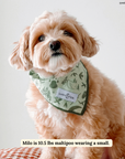 Lucy & Co. - Camp Out Bandana: L