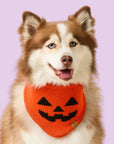 The Foggy Dog - Jack-o’-Lantern Knit Dog Bandana