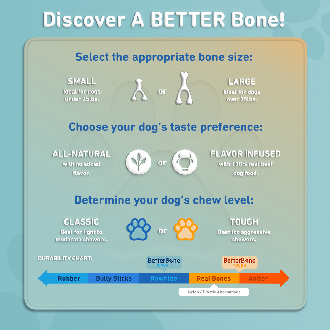 BetterBone - BetterBone TOUGH — DURABLE All-Natural Sustainable Chew Toy: Small (dogs under 25 lbs) / Beef
