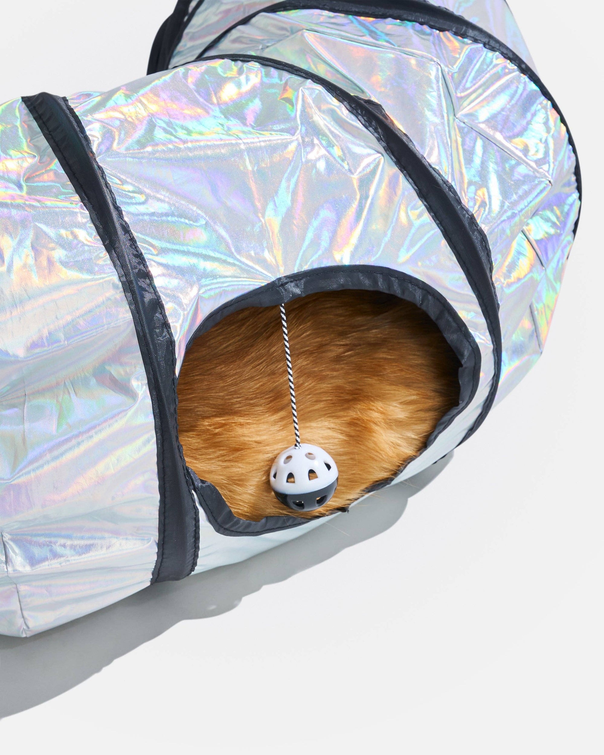 Wild One - Cat Tunnel: Lunar