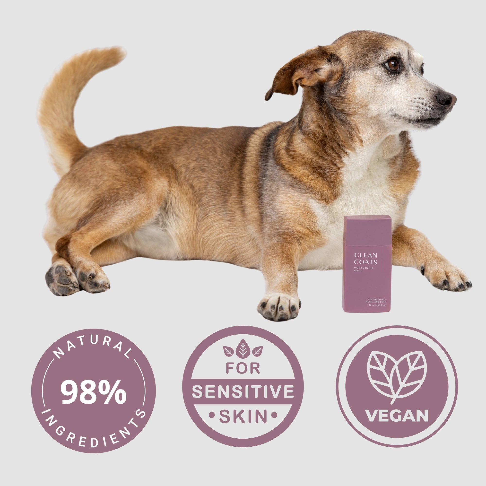 Clean Coats - Dog Moisturizing Serum for Paws &amp; Noses - Fast Absorbing
