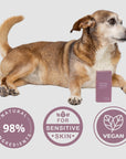 Clean Coats - Dog Moisturizing Serum for Paws & Noses - Fast Absorbing