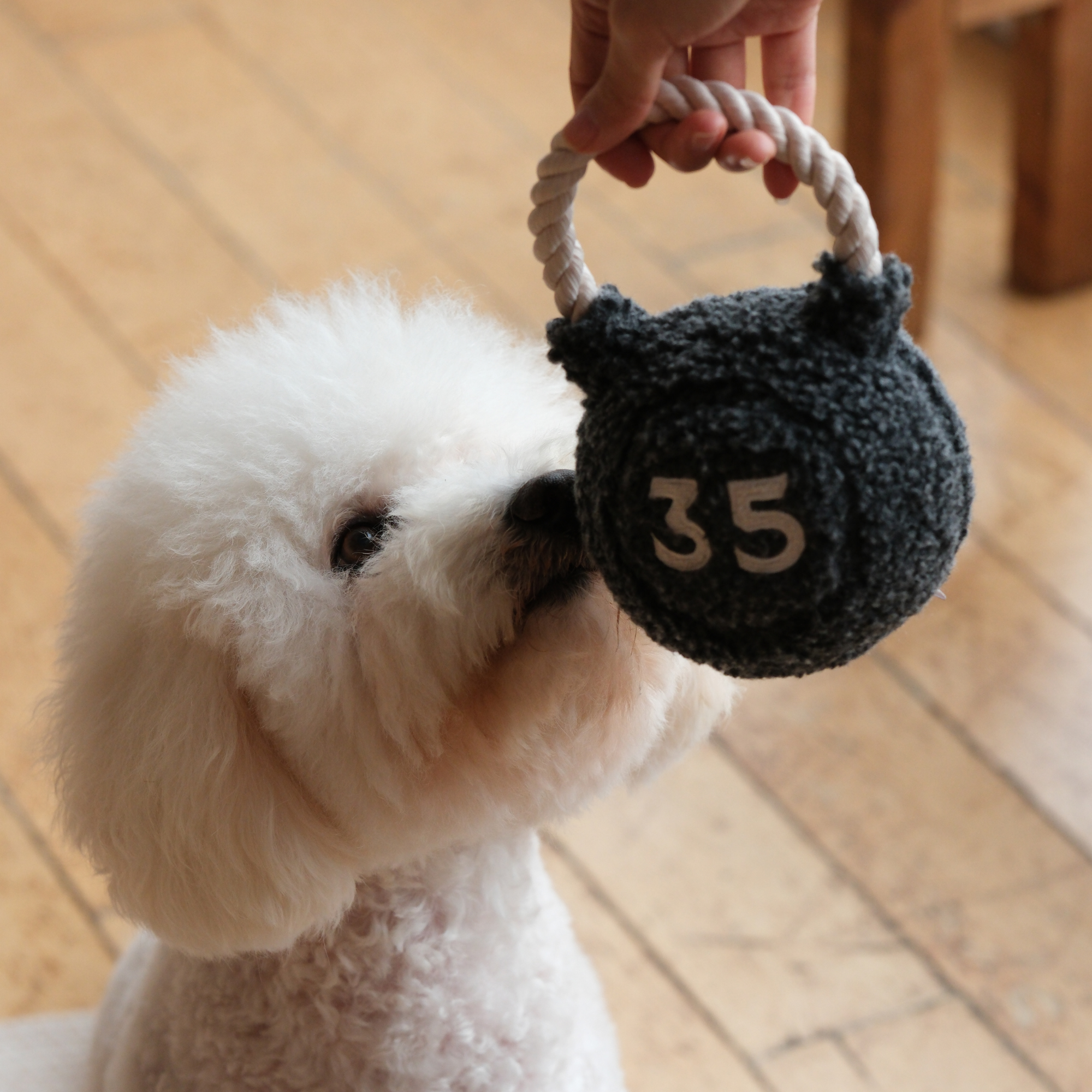 Lambwolf Collective - KETTLEBELL // ENRICHMENT DOG TOY // TUG + FETCH TOY