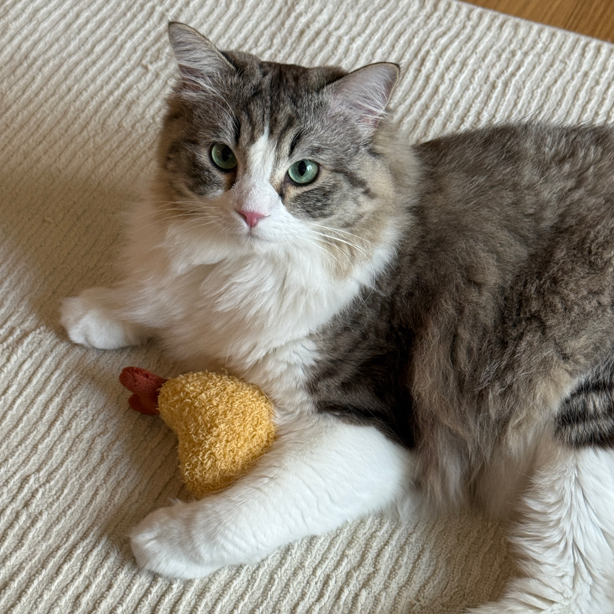 Lambwolf Collective - KITTY TEMPURA: Default Title