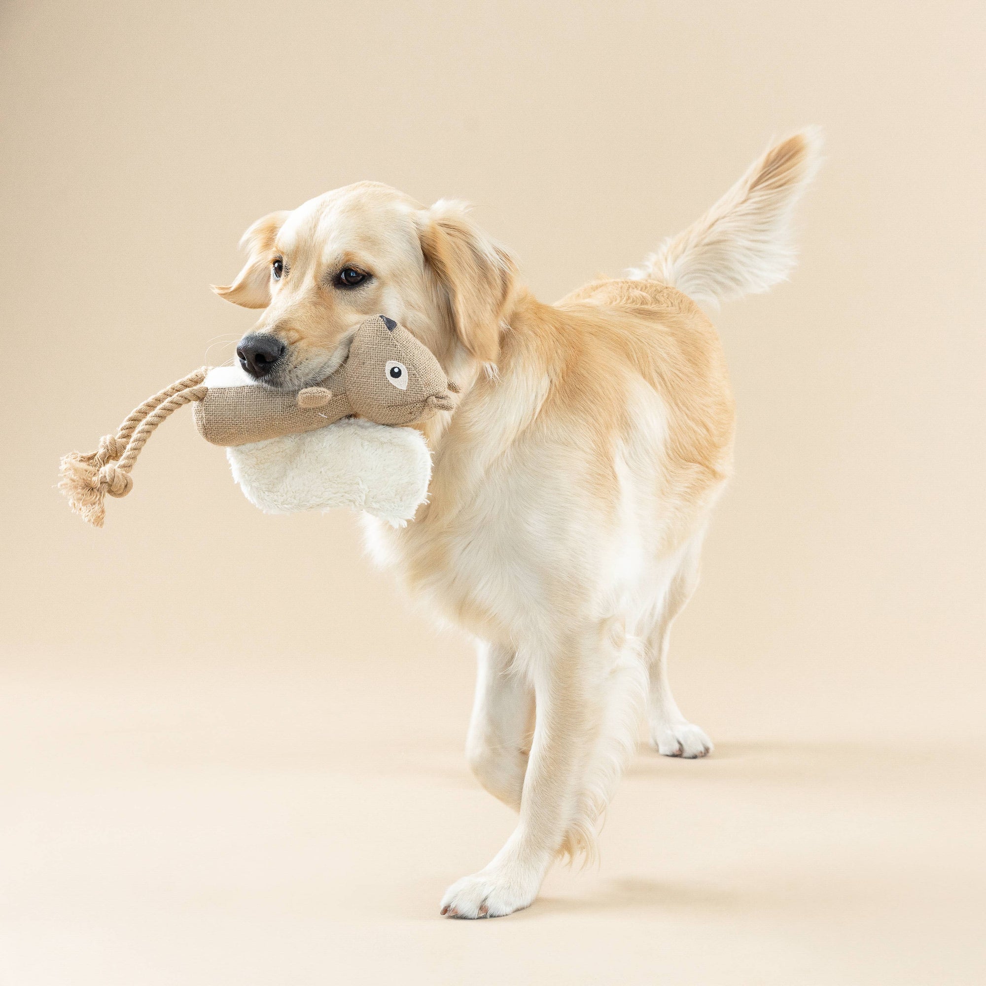 Petshop by Fringe Studio - EARTH FRIENDLY DOG TOY BRING MORE NUTS!