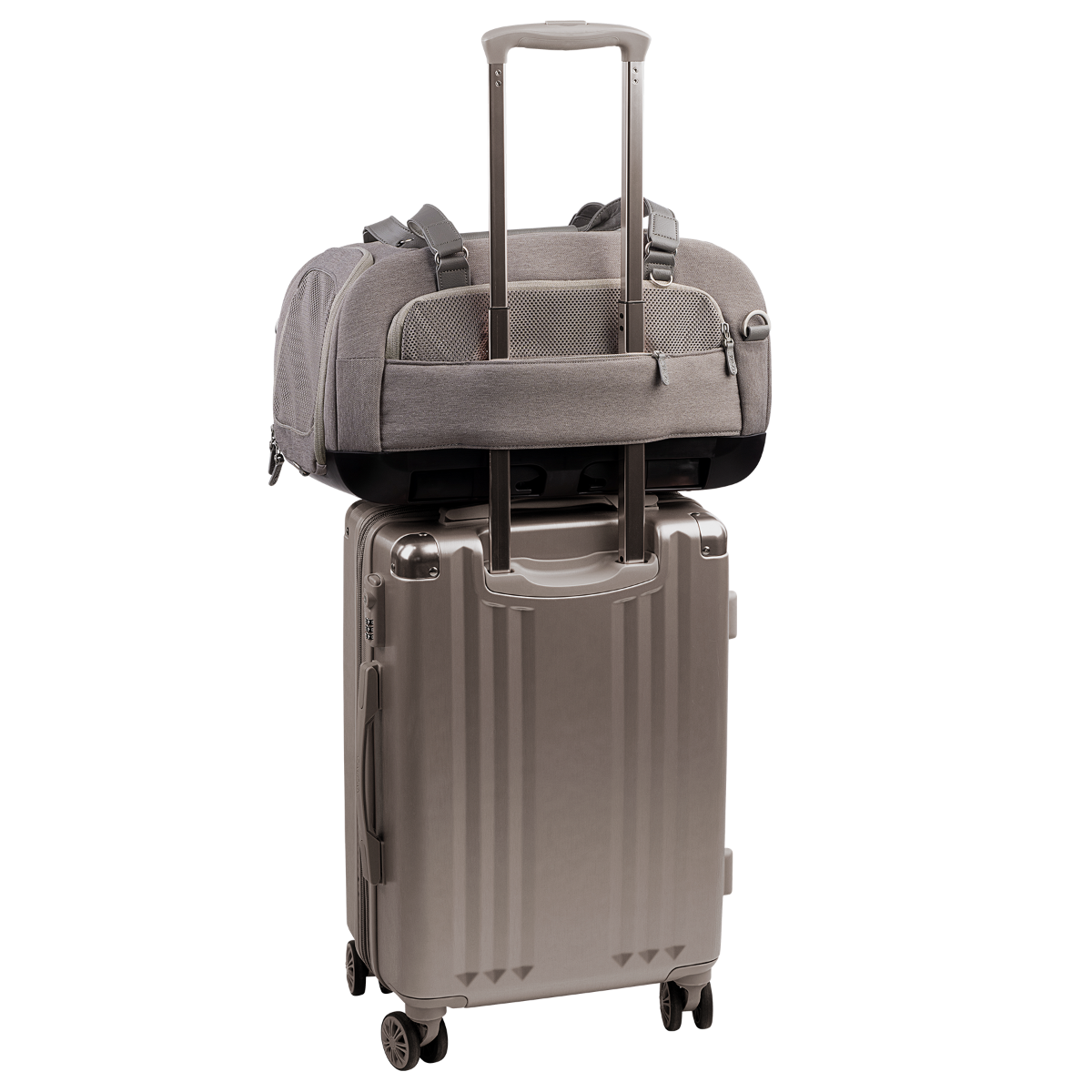 Tavo Airline Carry-on Pet Car Seat Dupree