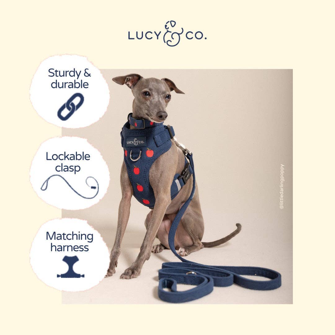 Lucy &amp; Co. - Appley Ever After Corduroy Leash