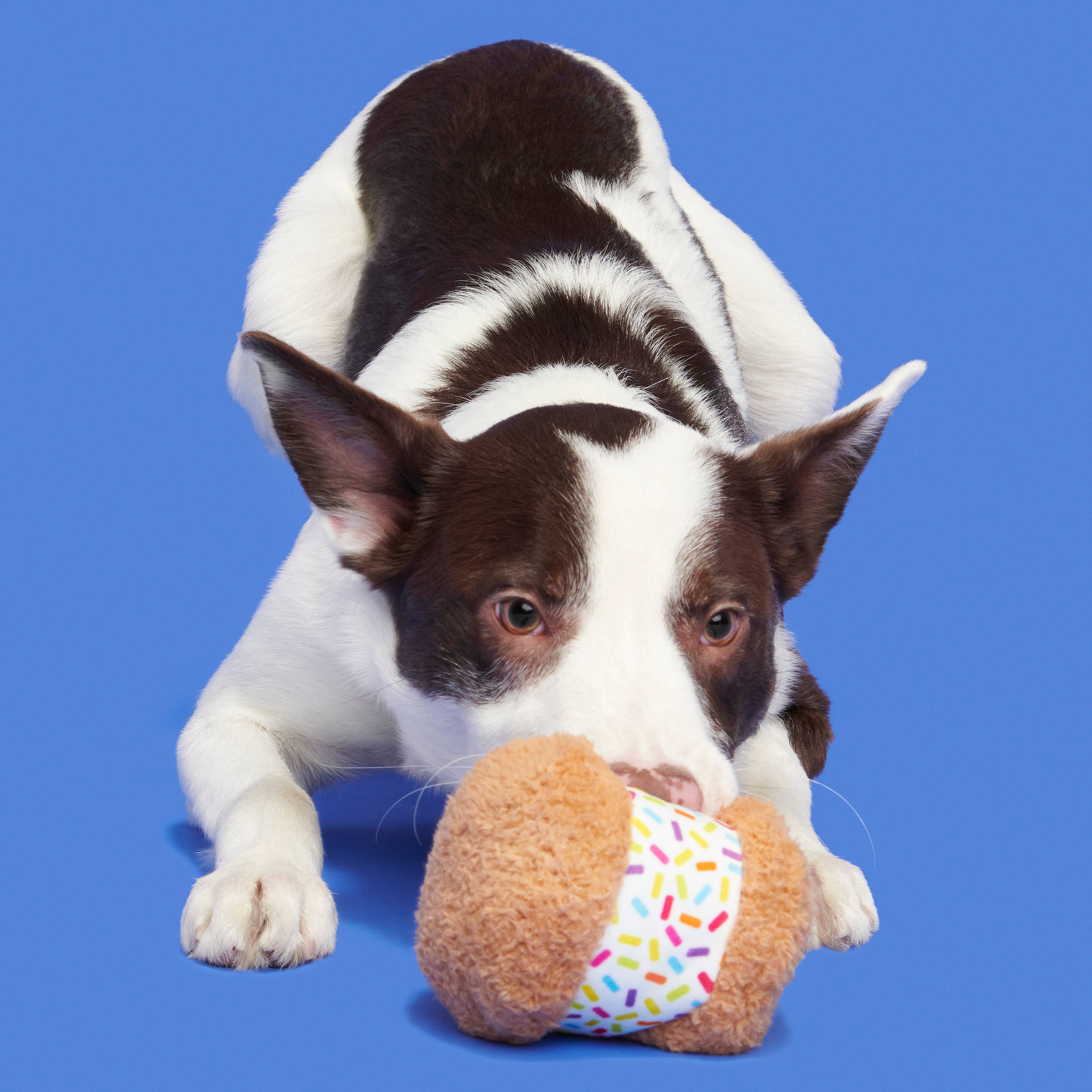 Pet Palette Distribution - BARK Funfetchi Sniffwich Plush Dog Toy – The ...