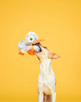 BARK Big Bill & Beak-A-Boo Fish
