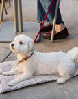 The Foggy Dog - Mushroom Brown Gingham Dog Travel Mat