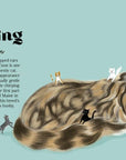 Catphabet : A Cat Alphabet