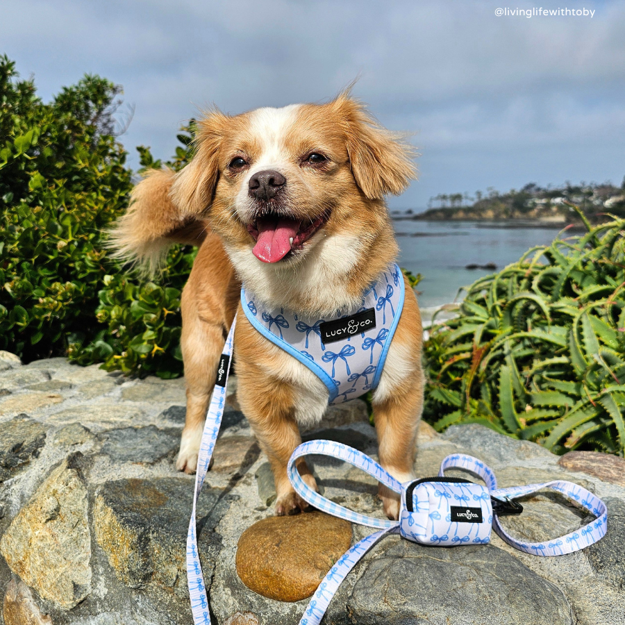 Lucy &amp; Co. - Bowwow Wow! Poop Bag Holder: Default Title