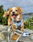 Lucy & Co. - Bowwow Wow! Poop Bag Holder: Default Title