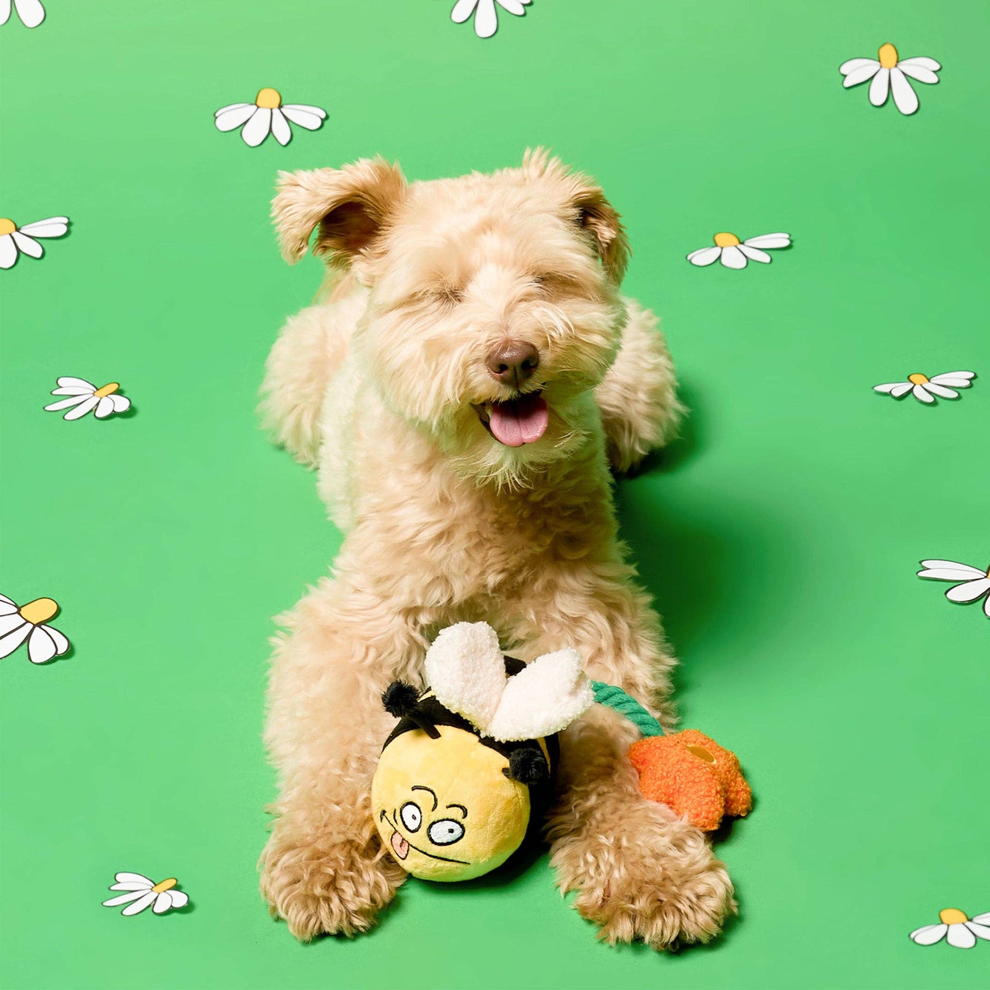 the furryfolks - Bee Happy Nosework Toy