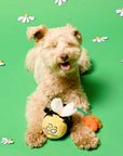 the furryfolks - Bee Happy Nosework Toy