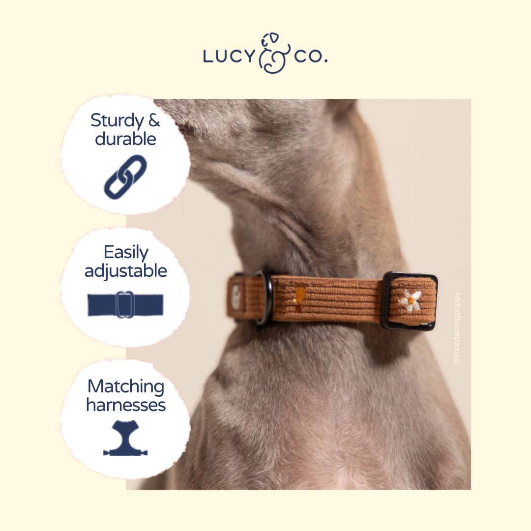 Lucy &amp; Co. - Chocolate Meadows Corduroy Collar