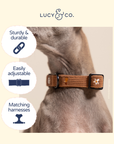Lucy & Co. - Chocolate Meadows Corduroy Collar