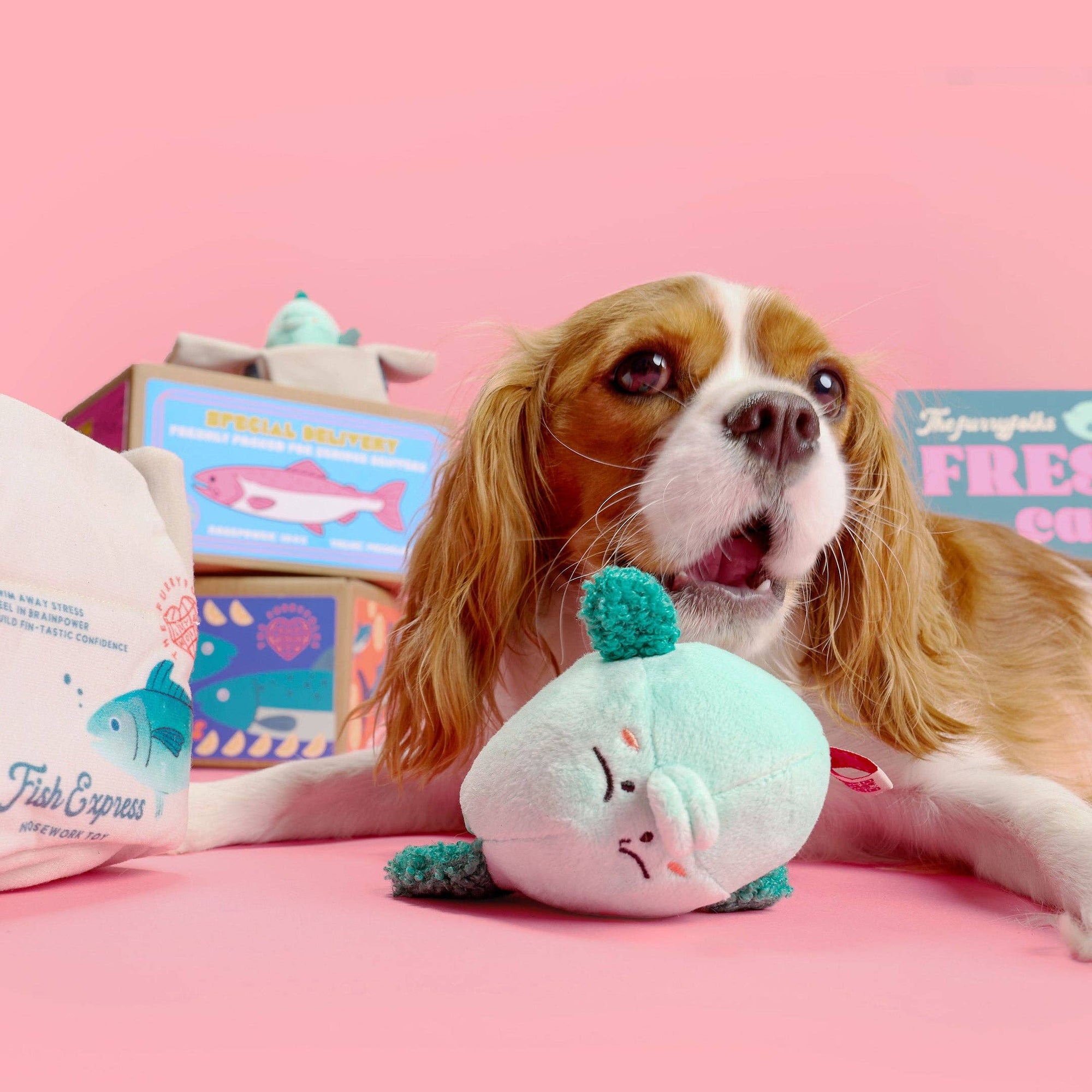 the furryfolks - Fish Express Nosework Toy