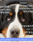 Native Pet - Calm Chews Anxiety & Calming Supplement for Dogs: 30ct