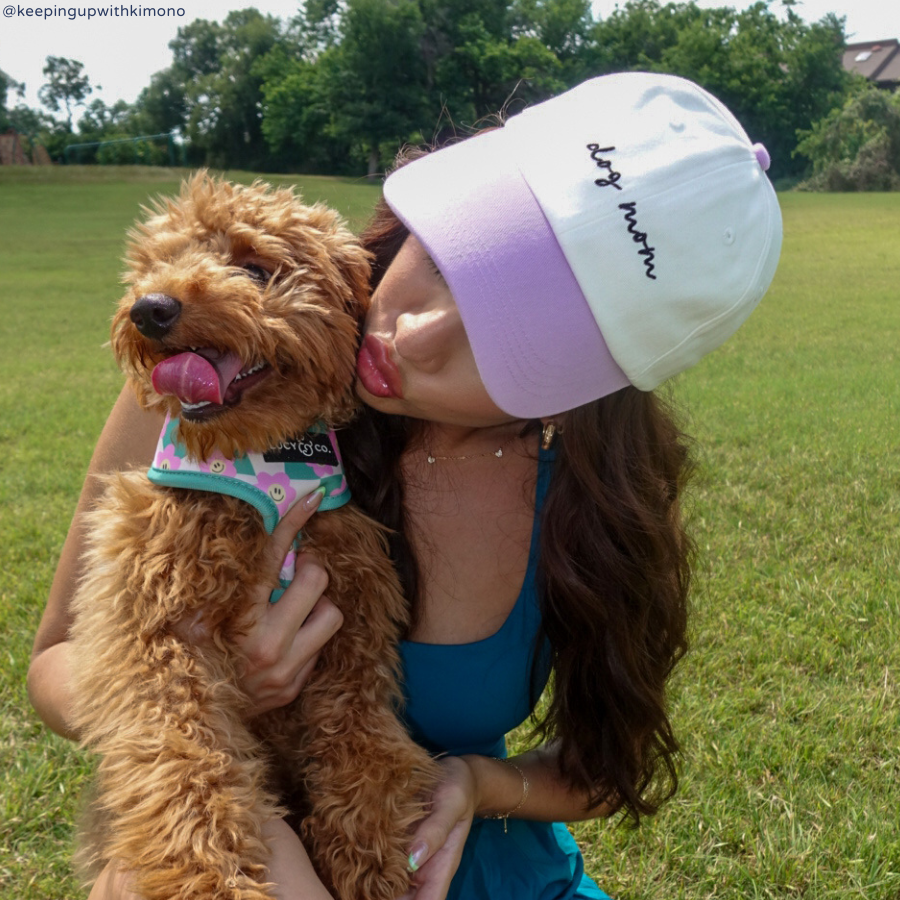 Lucy &amp; Co. - Lavender 2-Tone Dog Mom Hat