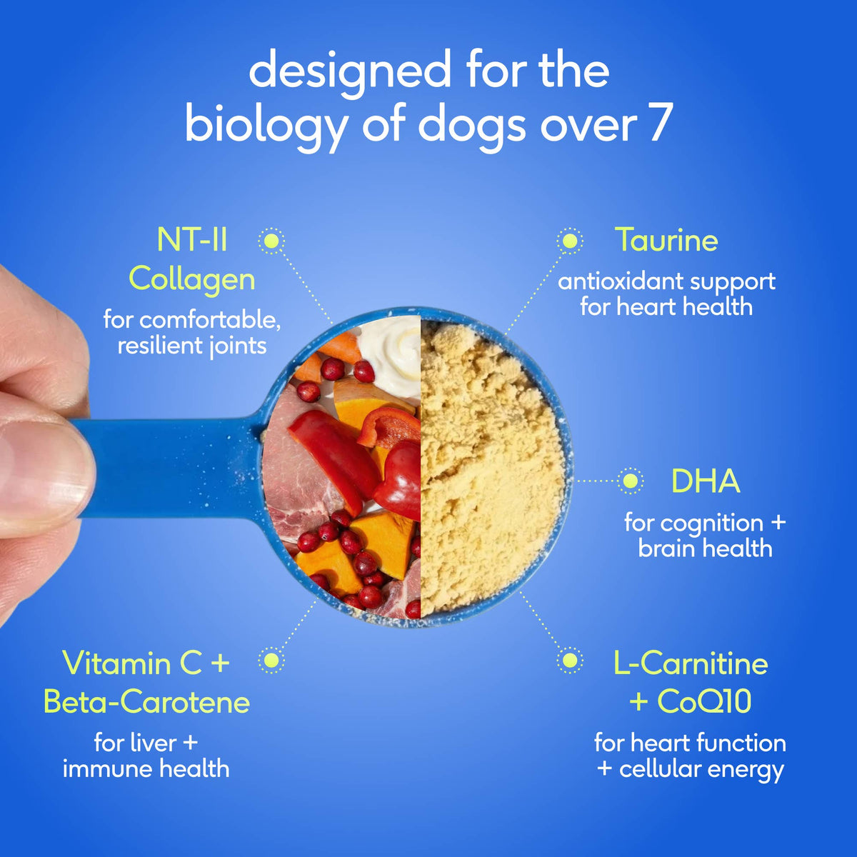 Native Pet - Senior Daily 12-in-1 Multivitamin Powder Supplement for Dogs: 60 scoops