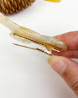 Yorkie Clip