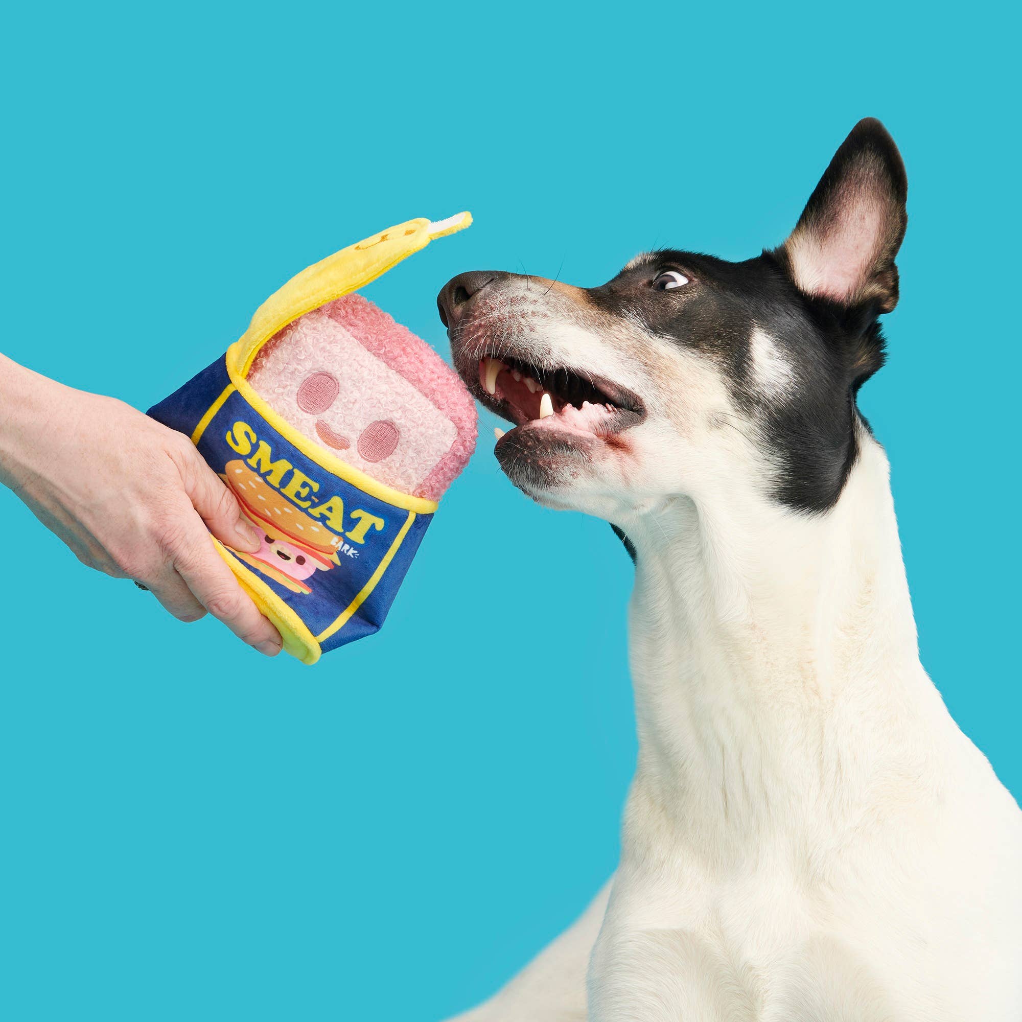 BARK Canned SMEAT Plush Dog Toy