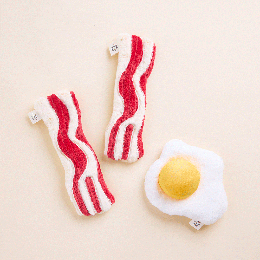 The Foggy Dog - Bacon and Egg Interactive Toy Set