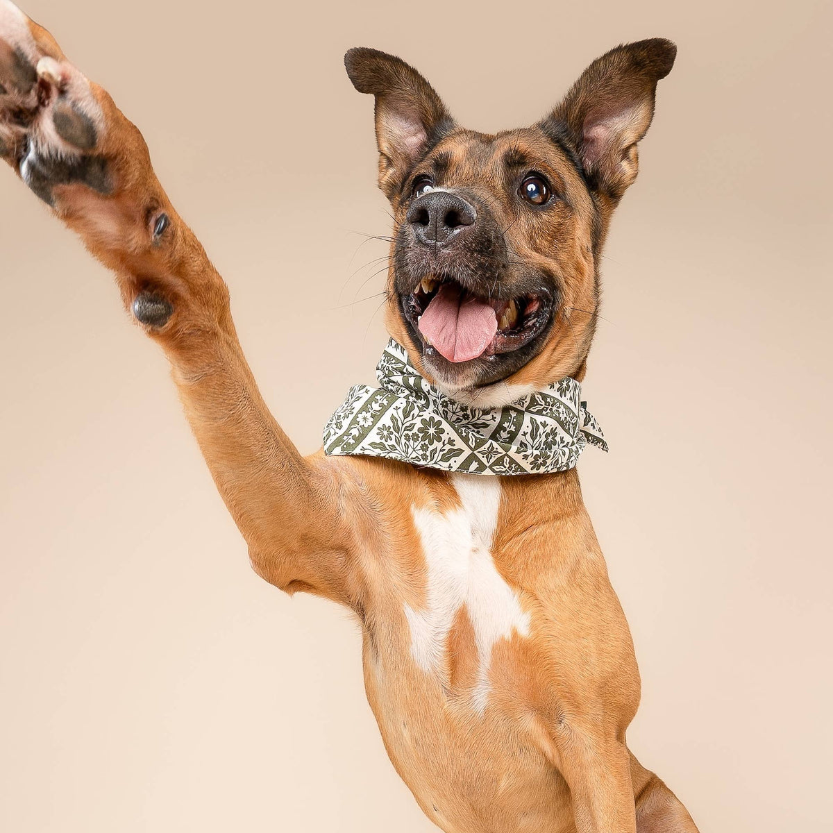 The Paws - Fernwood Dog Bandana