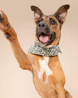 The Paws - Fernwood Dog Bandana