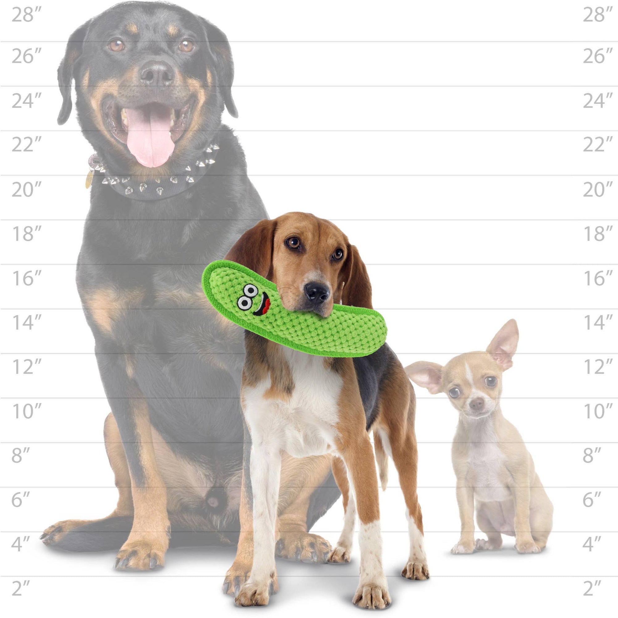 Tuffy Dog Toys - VIP Products - Tuffy Funny Food Pickle, Durable, Squeaky Dog Toy
