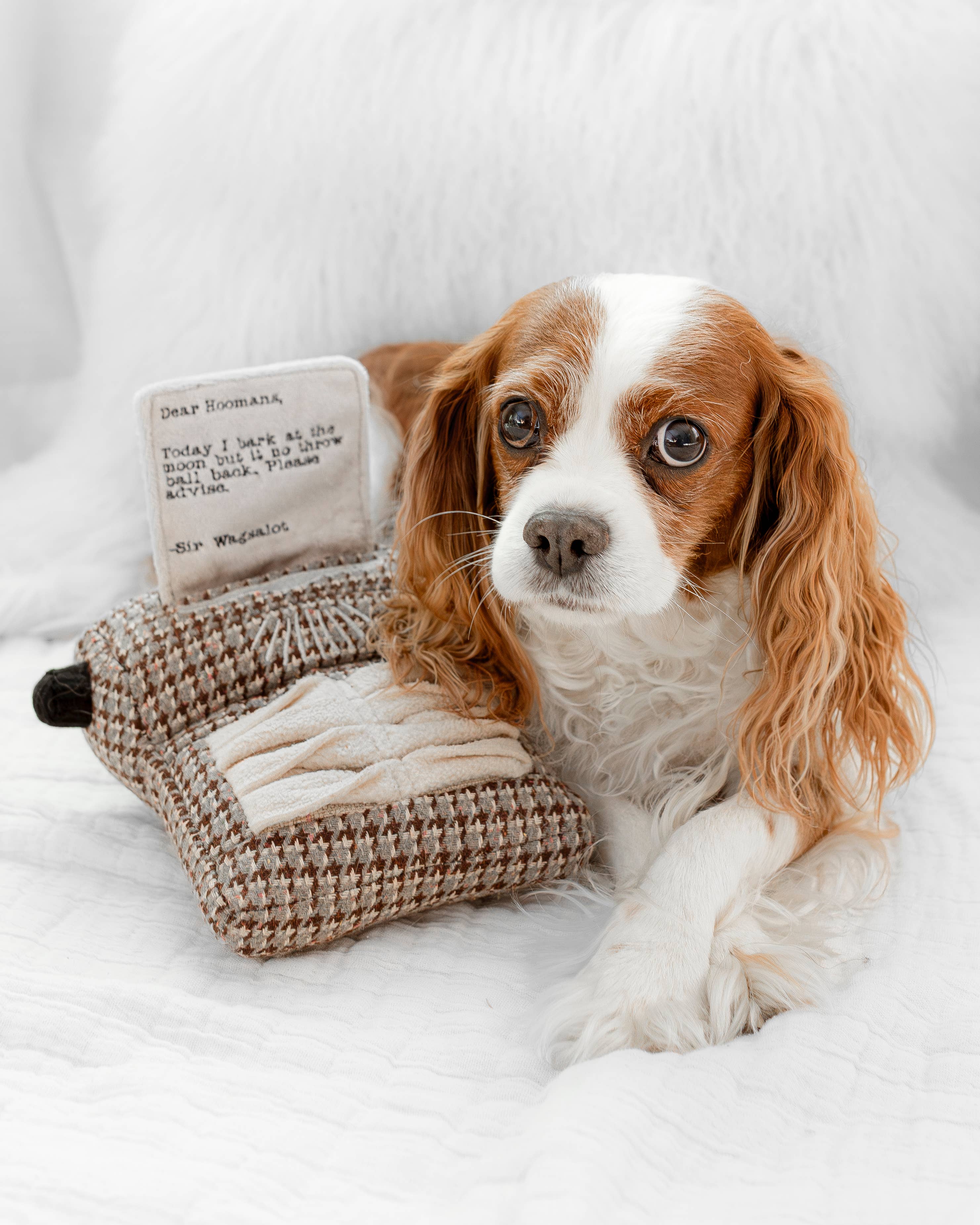 Lambwolf Collective - TYPEWRITER//ENRICHMENT DOG TOY – The Modern
