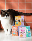 Weruva Cats in the Kitchen Pantry Pours Chicken & Pumpkin Bisque with Senior Support