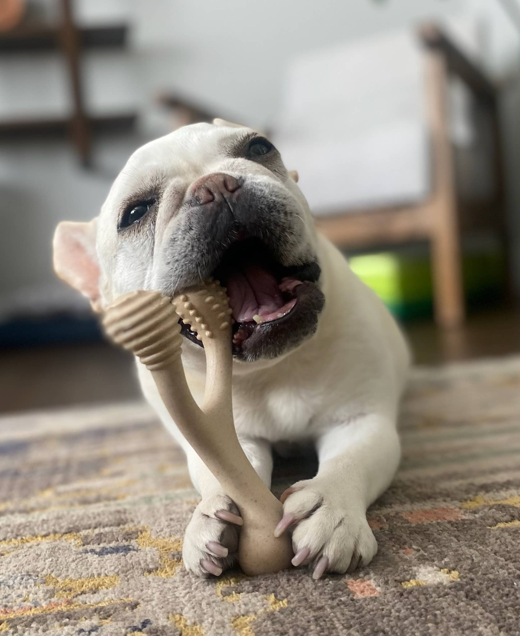 BetterBone Natural Dog Chews - VENISON Hard Density