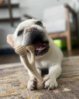 BetterBone Natural Dog Chews - VENISON Hard Density