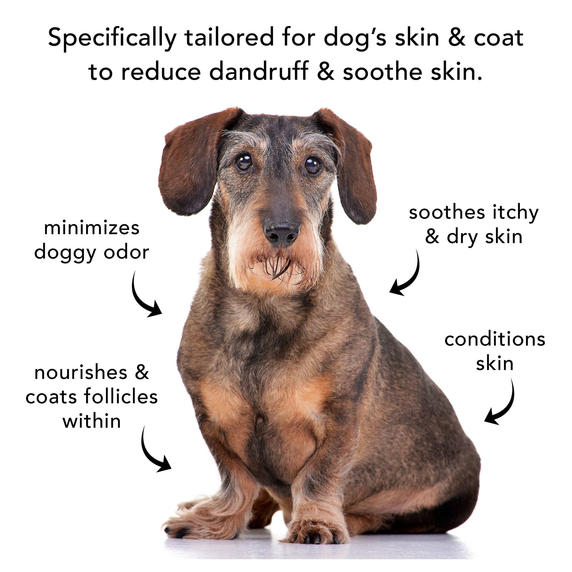 PRIDE+GROOM - THE SENSITIVE ONE | SHAMPOO FOR SENSITIVE COATS + PUPPIES: Medium
