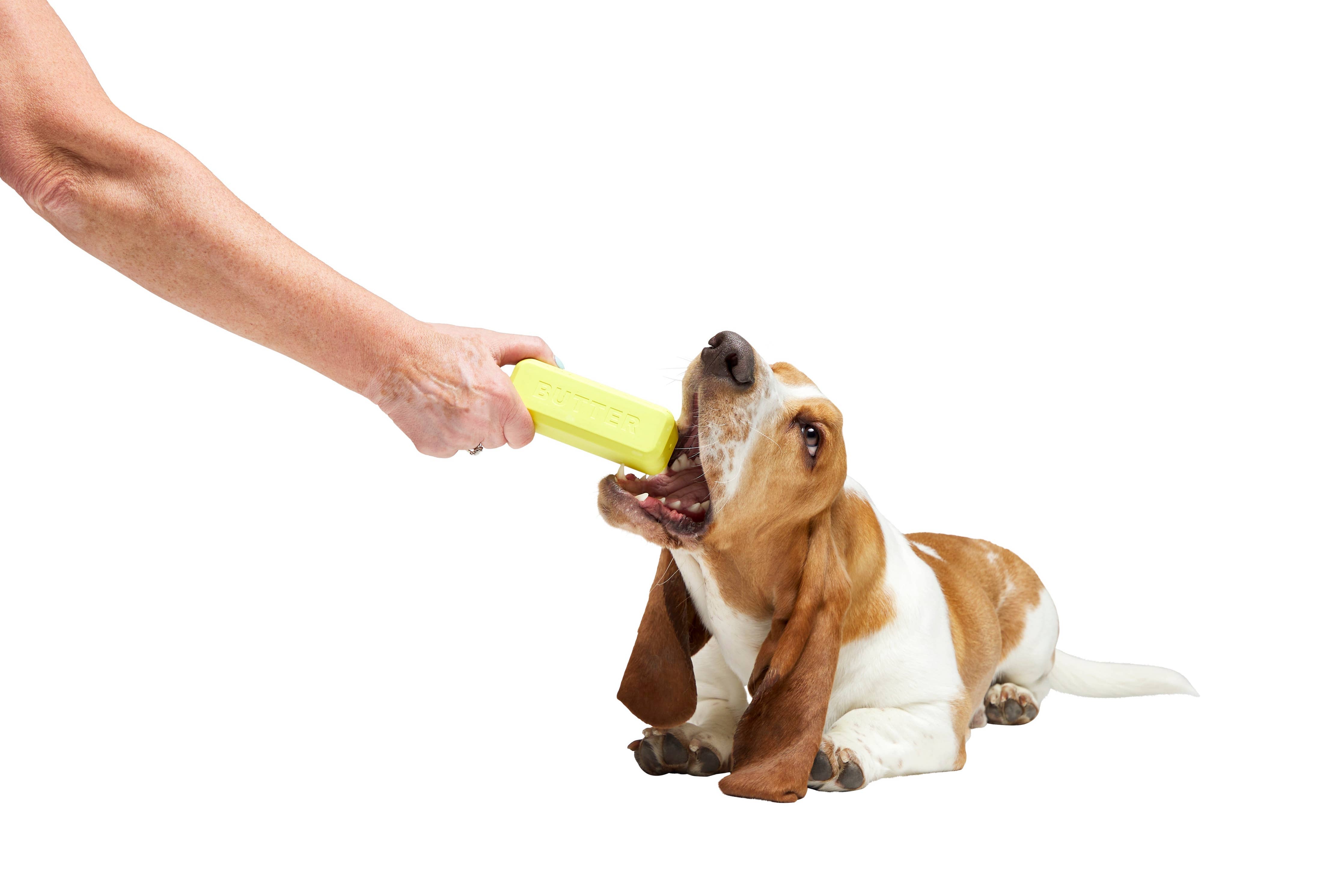 BARK Pass the Butter Super Chewer Dog Toy