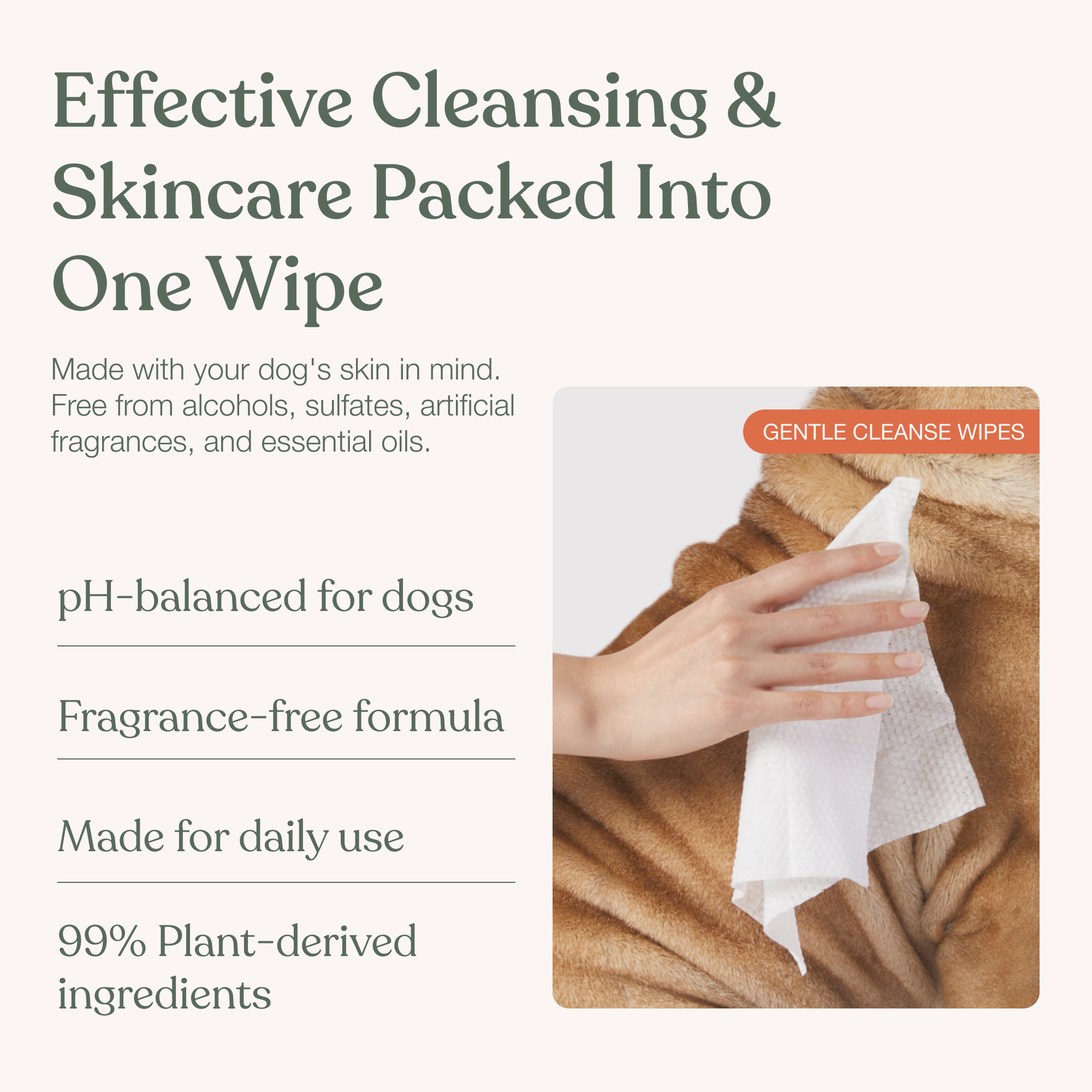 Dandylion - Gentle Cleanse Dog Wipes - 90 Wipes