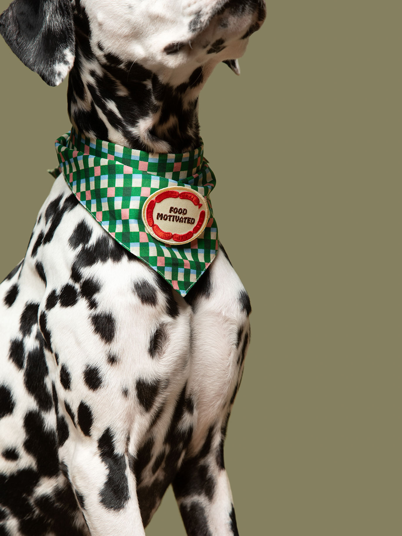 Scout's Honour Pty Ltd - Food Motivated iron-on patch for dogs and cats