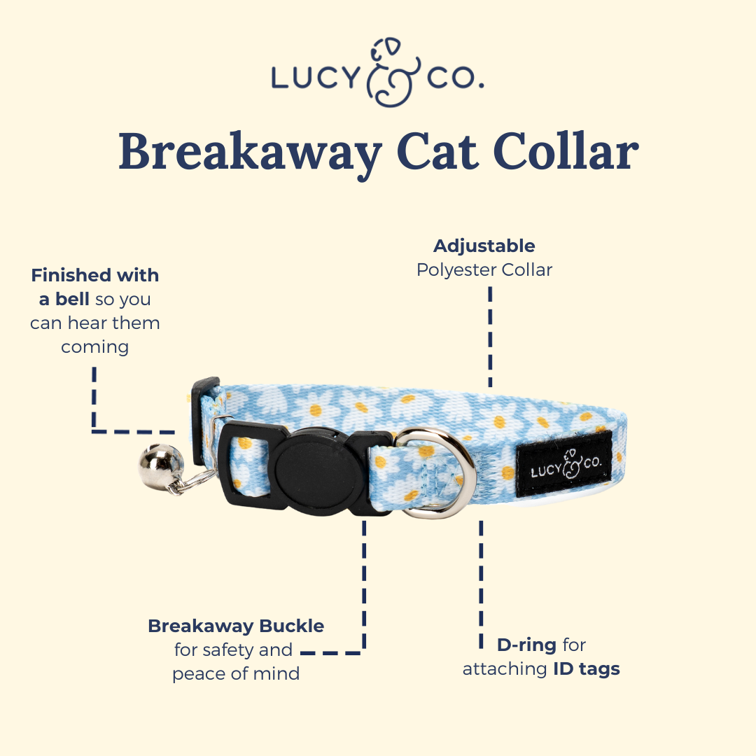 Lucy &amp; Co. - Simply Splendid Breakaway Cat Collar: L