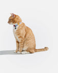 Wild One - Breakaway Cat Collar: S / M • Cat / Bubblegum