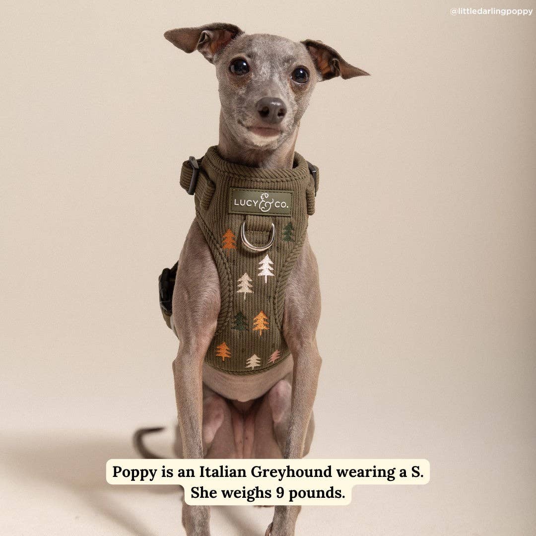 Lucy &amp; Co. - Take a Hike Corduroy No-Pull Harness