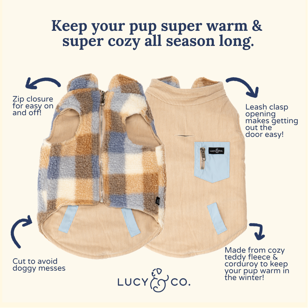 Lucy &amp; Co. - Blue Check Reversible Teddy Vest