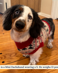 Lucy & Co. - The Let it Snow Sweater